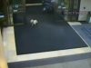 Security Cameras ,Catch, Dog, Sneak, Hospital, Camera, Security, unbelievable, Loyality,