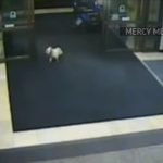 Security Cameras Catch Dog Sneaking Into Hospital