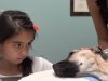 Girl, Eyes, Dog, Stare, animal, pets, Save life, Rescue,