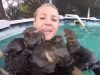 Swimming, pool, adorable, creatures, Swim, amazing, cuteness, Otter,
