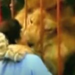 Amazing reunion between a lion and a rescuer