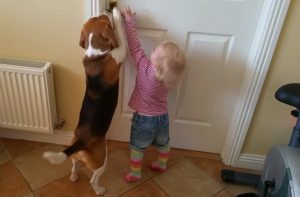 Cute, dog, puppy, little girl, girl, kid, adorable, friends,