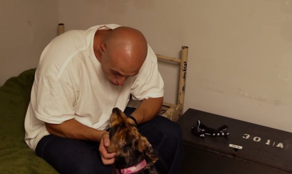 They Put ,A Dog Inside ,His Jail ,Cell , Started Filming,film,video,dog,cellmate