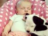 Puppy, Baby, Growing Up, Together, cuteness, cute, adorable, Priceless, Memories,