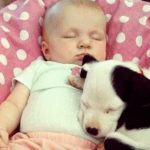 Priceless Memories between a baby and a Dog