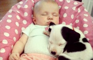 Puppy, Baby, Growing Up, Together, cuteness, cute, adorable, Priceless, Memories,