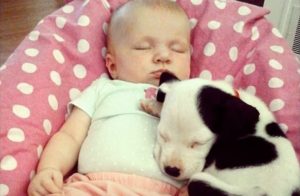 Puppy, Baby, Growing Up, Together, cuteness, cute, adorable, Priceless, Memories,