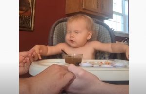 Little Girl, daddy, pray, cute, cuteness overload, baby, heartwarming, adorable, meal, night,