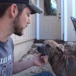 Inspiring Rescue Story of a blind Pup