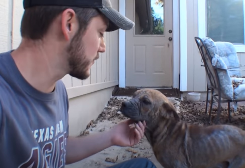 Blind Pup, Euthanized, Puppy, dog, rescue story, inspiring, trending,