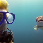 Diver get Selfie with a PufferFish