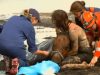 Chills, Story, Horse, Sad, Friends, true friends, love animals, Sink, Mud, inspiring,