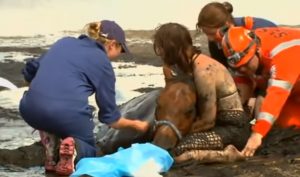 Chills, Story, Horse, Sad, Friends, true friends, love animals, Sink, Mud, inspiring,