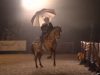 Horse, horse dances, dance, animals, sing, rain, song, amazing animals,