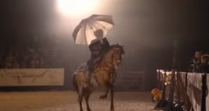 Horse, horse dances, dance, animals, sing, rain, song, amazing animals,