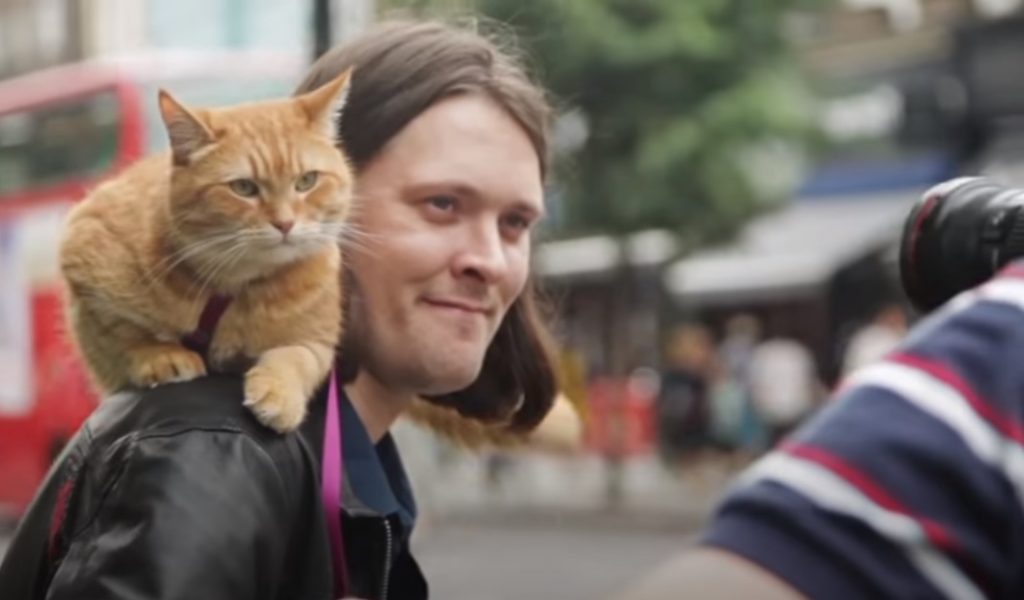 Stray Cat, Street Musician, Music, Street , Musician, stray pets, Cat, story, amazing, Touching, friends, homeless,