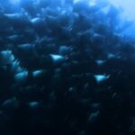 Video thumbnail for youtube video 8ng-syavzfk