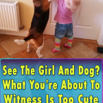 Adorable friendship between a girl and a dog
