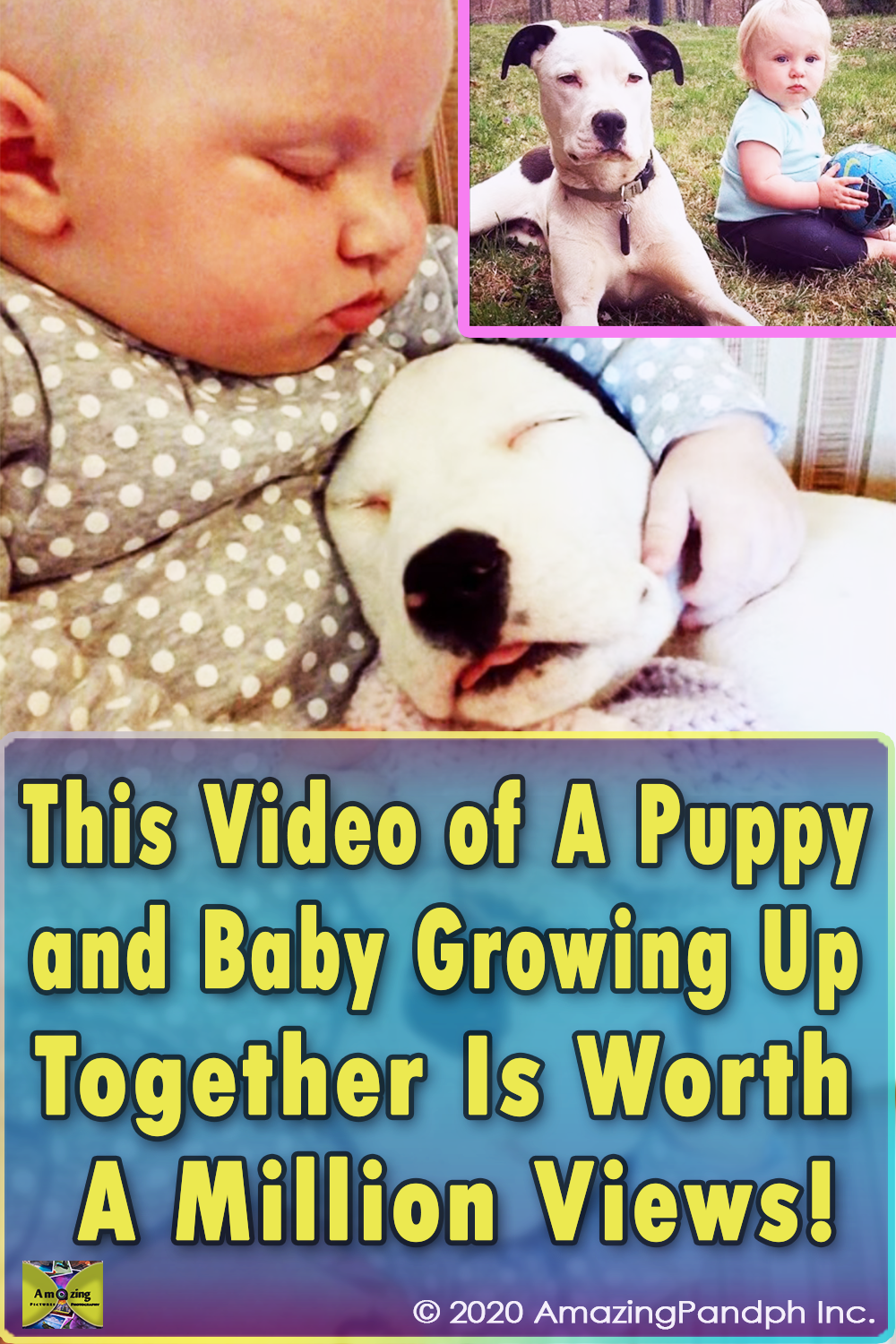 Puppy, Baby, Growing Up, Together, cuteness, cute, adorable, Priceless, Memories,
