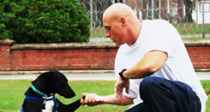 Watch What Happens When Stray Dogs Meet Prison Inmates—The Result Is Heartwarming