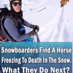 Snowboarder save the life of freezing horse