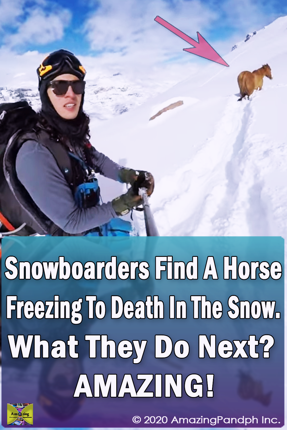 Horse, Freezing, Snow, rescue, snowboarder, snowboard, cold, amazing, Story,