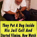 They Put A Dog Inside His Jail Cell