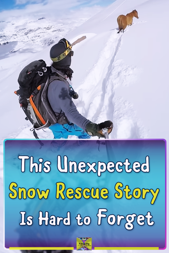 A snowboarder in deep snow in Chile helps a horse that was trapped in the snow during a mountain rescue story.
