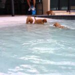 Video thumbnail for youtube video ayfn9logm0c