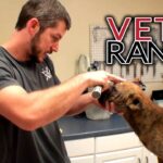 Video thumbnail for youtube video btuteoauynm