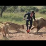 Video thumbnail for youtube video jpyr-ym7hck