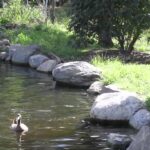 Video thumbnail for youtube video prpajliskd0