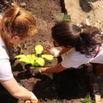 Video thumbnail for youtube video wrpzadyc8na