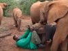 elephant, animals, rescue, story, sweet, babies,