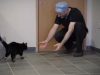 Miracle, Medical Technology, story, cats, animals, Pets,