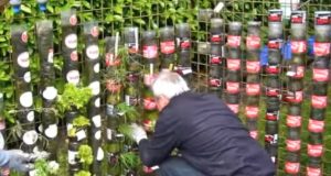 Creative, Tricks, Hacks, Design, Bottle, Plastic, Decoration, Garden,