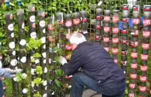 Creative, Tricks, Hacks, Design, Bottle, Plastic, Decoration, Garden,