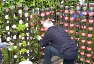 Creative, Tricks, Hacks, Design, Bottle, Plastic, Decoration, Garden,