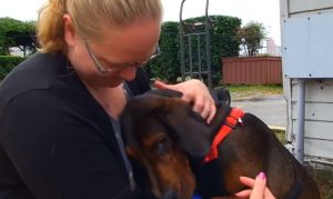 Dogs, story, adoption, rescue, emotional, abused dogs,