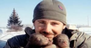 Story, Wildlife, Bear, Friendship, Animals, Story,