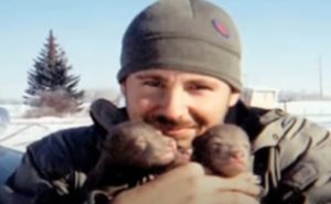 Story, Wildlife, Bear, Friendship, Animals, Story,