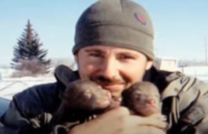 Story, Wildlife, Bear, Friendship, Animals, Story,