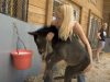 Animals, Horses, Farm, Racing, Babies, Ponies, ranch,