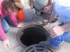 Rescue, Duckling, Animals, Birds, help, life,