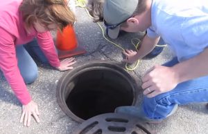 Rescue, Duckling, Animals, Birds, help, life,