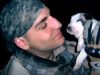 Dogs, adoption, heartbroken, Story, Miracle, Puppies,