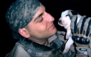 Dogs, adoption, heartbroken, Story, Miracle, Puppies,