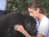 ,does a gorilla weigh,do gorillas swing on vines,do gorillas sweat,do gorillas live in the rainforest,do gorillas live in africa,do gorillas have tails,do gorillas eat meat,do gorillas eat bananas,do gorillas climb trees,difference between ape and gorilla,cross river gorilla,could a human fight a gorilla,could a gorilla raise a human baby,could a gorilla kill a lion,could a gorilla kill a human,could a gorilla kill a bear,could a gorilla impregnate a human,can you see the dancing gorilla,can gorillas swim,can a gorilla kill a lion,can a gorilla deadlift,bear vs gorilla,attack gorilla,about gorilla glue,about gorilla glass,a silverback gorilla,a lion vs a gorilla,a baby gorilla,apes breeding,apes are monkeys,apes animal,apes and monkeys,apes and humans,apes and great apes,apes and gorillas,apes algoma,apes acronym,apes a poppin,a new planet of the apes movie,a bathing apes,do jungle camps have armor,do jungles have winter,do jungles have bears,can jungle juice kill you,are jungles humid,are jungle worms real,are jungles rainforests,jungle cat,jungle jam,jungle drum,a jungle animal's life,a jungle story,jungle animal pictures,jungle animals,jungle fever,jungle island,animals in the jungle,an jungle juice,about neon jungle,animal,girl,grows up,two gorillas,gorilla,storie,true storie,best video,kids,speechless,reunion,a rumble in the jungle,