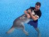 Pool, Cure, Therapy, Dogs, Husky, Animals,