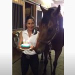 Horse Celebrate his birthday Cake